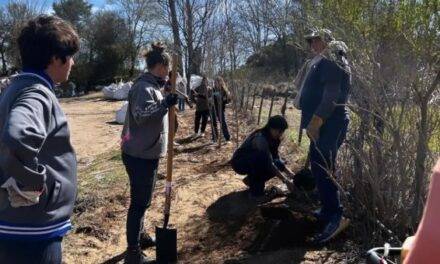 Plantaron más de 60 nuevos árboles en el marco del programa Levalle Verde