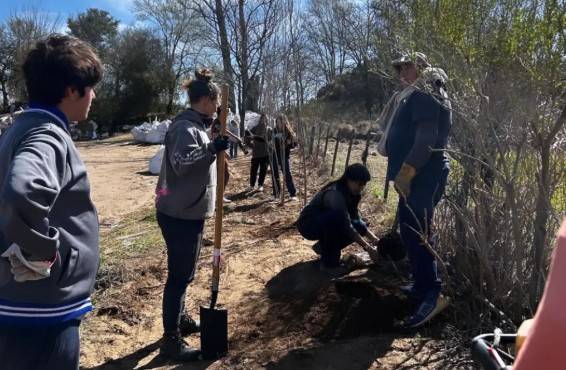 Plantaron más de 60 nuevos árboles en el marco del programa Levalle Verde