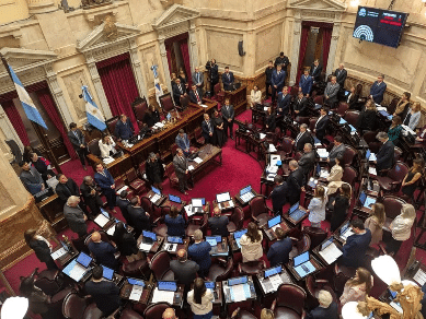 El Senado aprobó la reforma de la Ley de Salud Mental, que habilita internaciones involuntarias