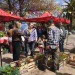 Villa María: la Feria Franca volvio a reunir a productores y vecinos con música y sorteos