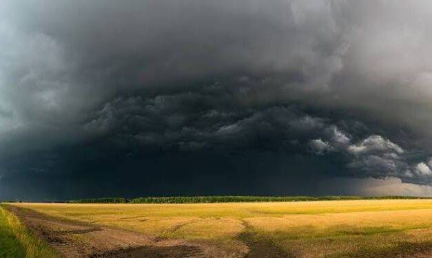 Clima en el campo: prevén lluvias de 200 mm, calor extremo y heladas tardías